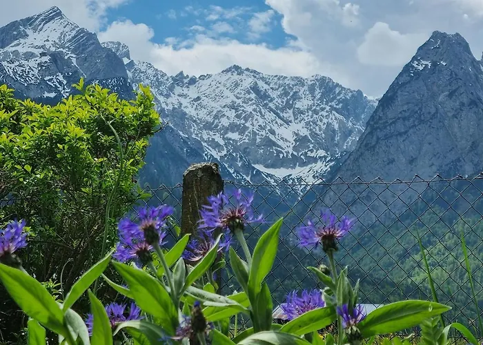 Haus Kreuzeckwiese - Alspitze * Garmisch-Partenkirchen